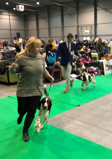 2018 - Prague Expo Dog - CACIB - 03