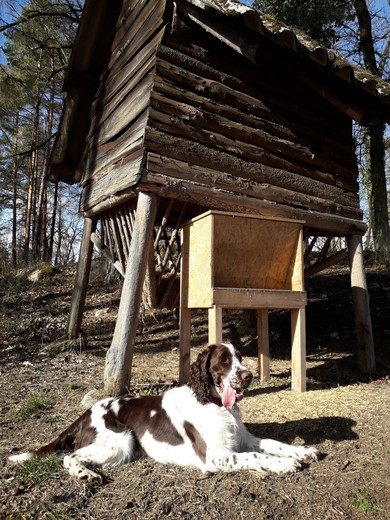 2019 - Bonnie na čekané