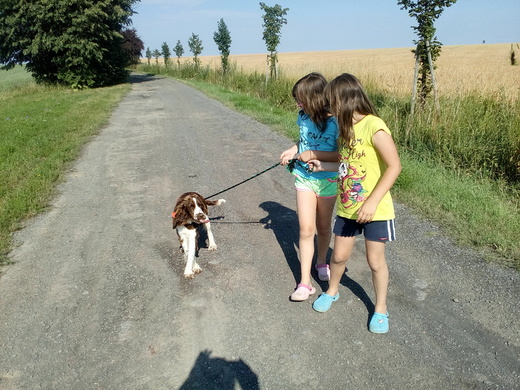 Fialová stuha - Abbi - v půl roce života - 6