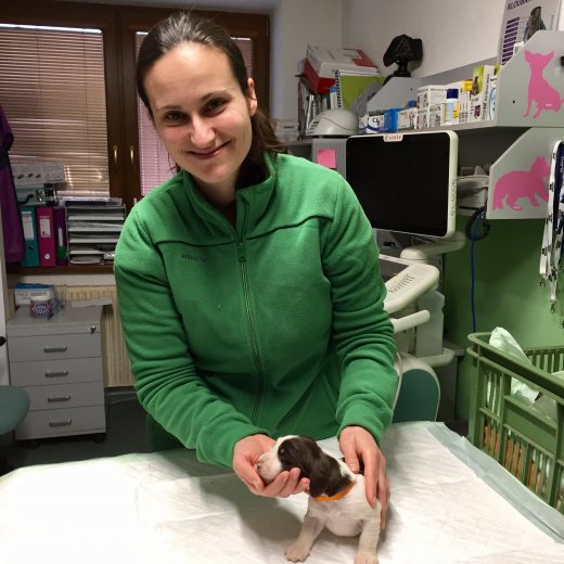 U paní veterinářky v ordinaci - 14. den po porodu - 02